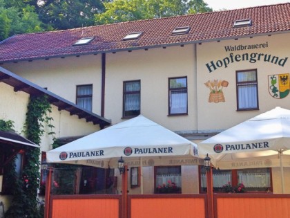 Foto: Hopfengrund